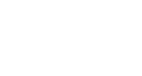 idescu logo